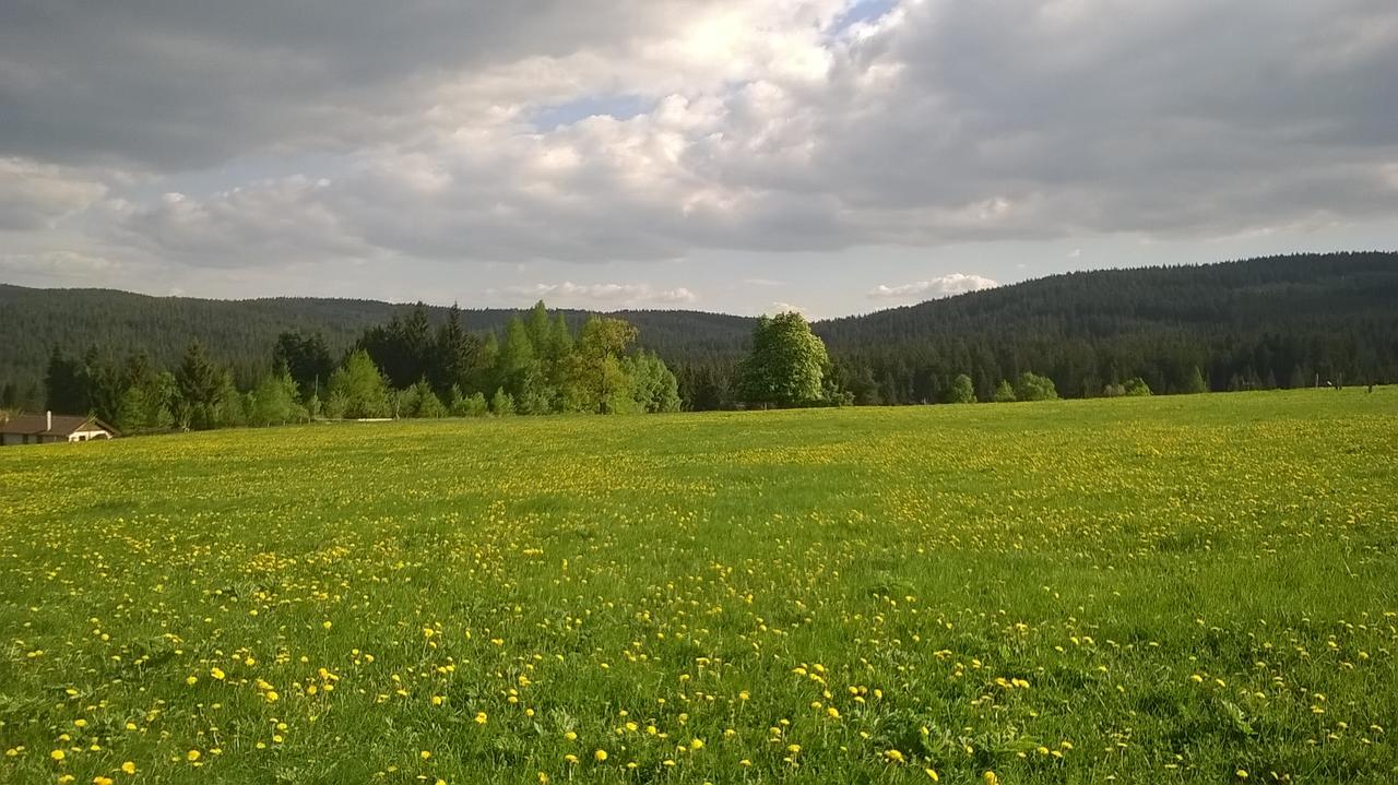 Apartment-Chalet-Chaloupka U Trnku Лазне Кинжвар Екстериор снимка